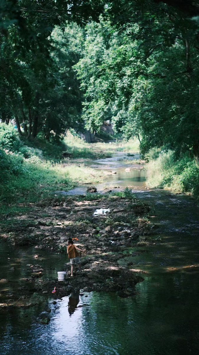 Reference photograph of a child standing in a shallow forest stream beneath dense green trees