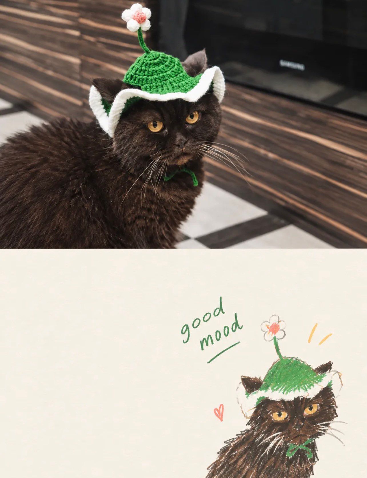 Cat wearing a green flower hat paired with a loose good mood doodle on a split poster
