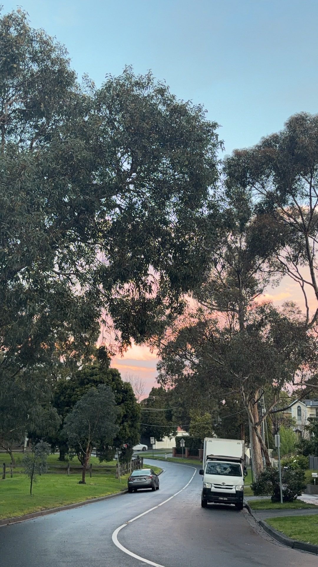 Reference photograph of a tree-lined Melbourne street with a truck and car beneath a pastel sunset