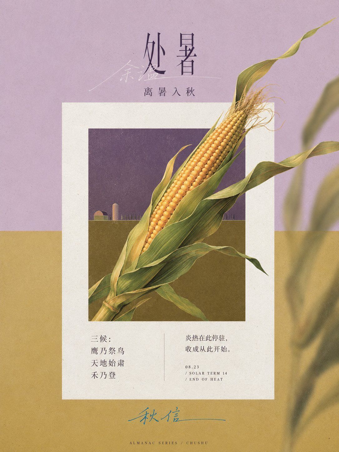 Lavender and ochre End of Heat editorial poster with an ear of corn crossing the central paper frame