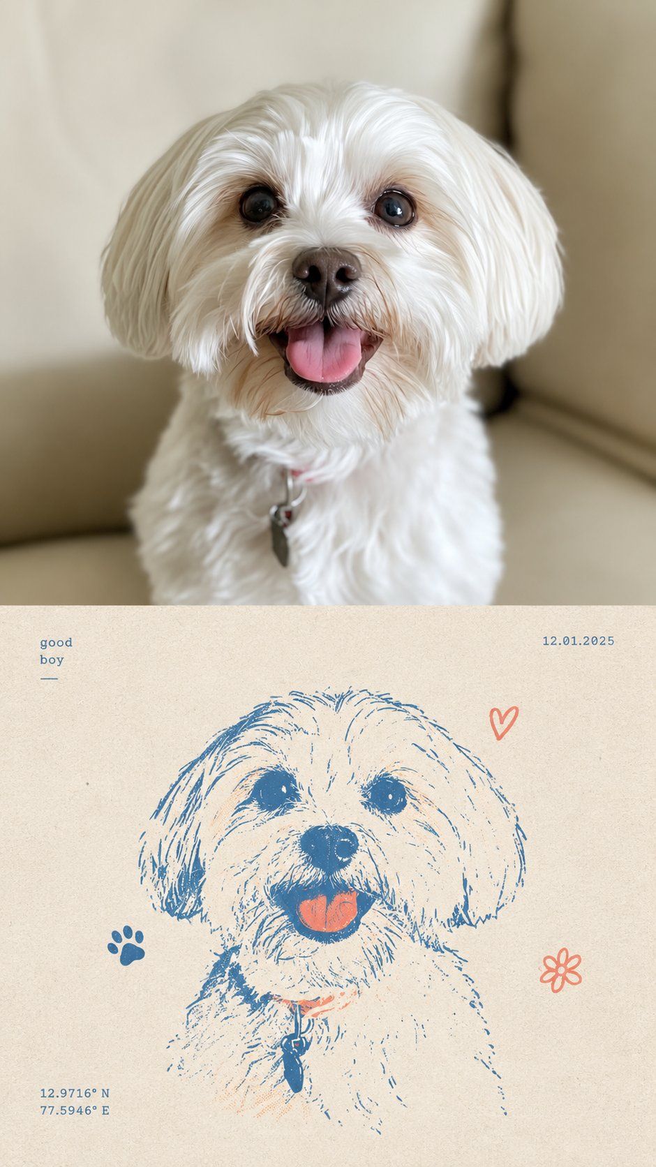 Photograph of a small white dog above a blue and coral hand-drawn RISO portrait on textured paper