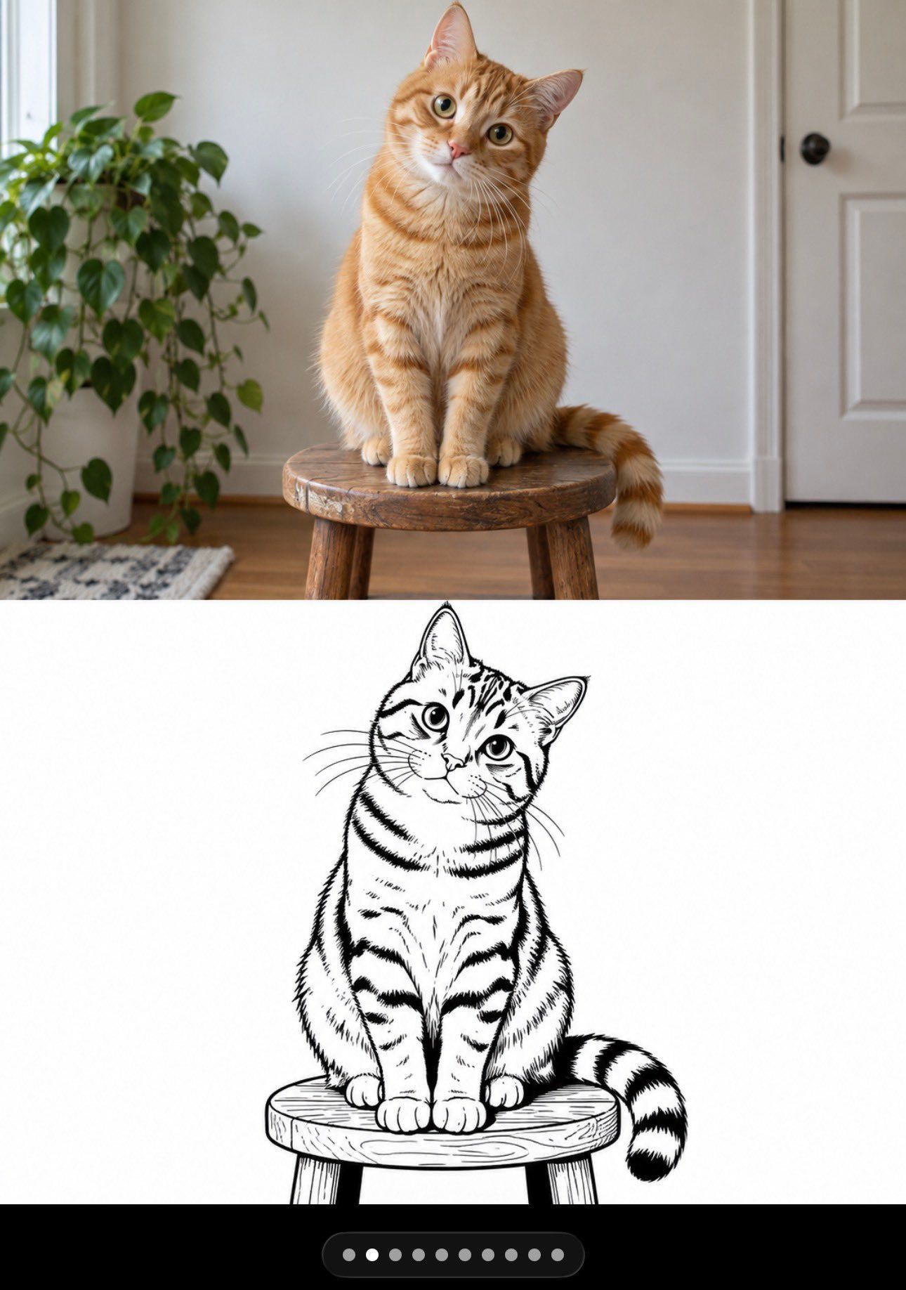 Photograph of an orange tabby cat on a stool above a matching black-and-white ink drawing