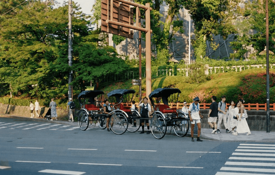 Reference photograph of people and rickshaws beside a tree-lined urban road