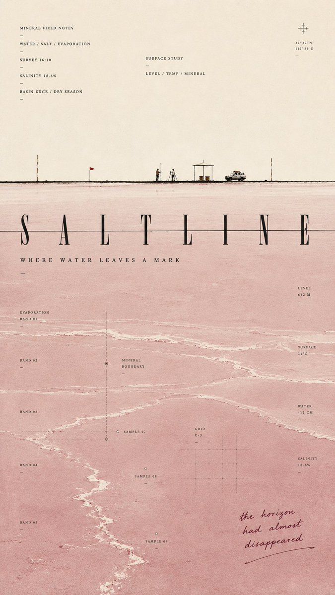 Minimalist SALTLINE editorial poster with a tiny survey horizon above a mineral-pink salt field